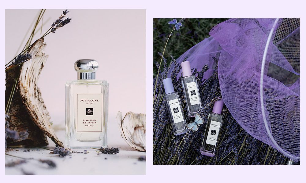 Jo Malone London新推銀樺與薰衣草古龍水！混香噴法推薦！限定香調加入常賣行列！