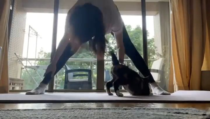 46歲舒淇過億西半山豪宅意外曝光！落地大玻璃/露台景色怡人！身高1米7永遠維持50kg！