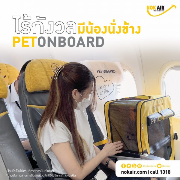泰國廉航新推寵物登機服務 允許乘客和毛孩一齊上機！ 
