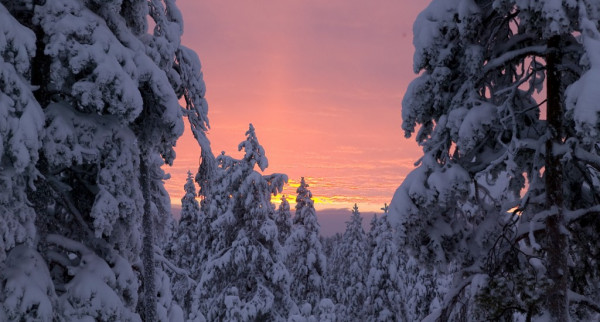 芬蘭冬季一日遊6大行程推薦 追極光/坐破冰船/聖誕老人村/馴鹿與哈士奇雪橇 