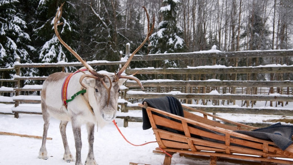 芬蘭冬季一日遊6大行程推薦 追極光/坐破冰船/聖誕老人村/馴鹿與哈士奇雪橇 