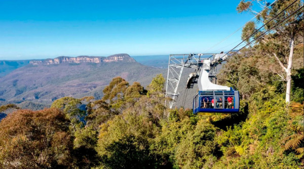 悉尼近郊藍山一日遊行程推薦 360度峽谷絕景/森林纜車/近距離餵袋鼠 