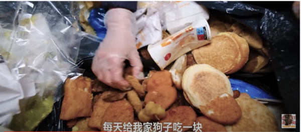 中國留學生拍片分享法國執垃圾食 麥當勞「垃圾桶開箱」稱這些可以給人吃 