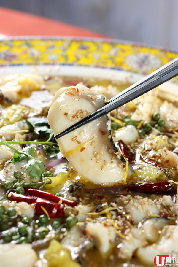 樂隊 ToNick 主音恆仔 旺角開年輕版川菜館 / 有得揀車仔毛血