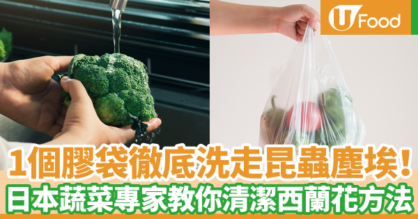 1個膠袋就可以徹底洗走西蘭花中昆蟲和塵埃！　日本蔬菜專家教你簡易清潔西蘭花方法