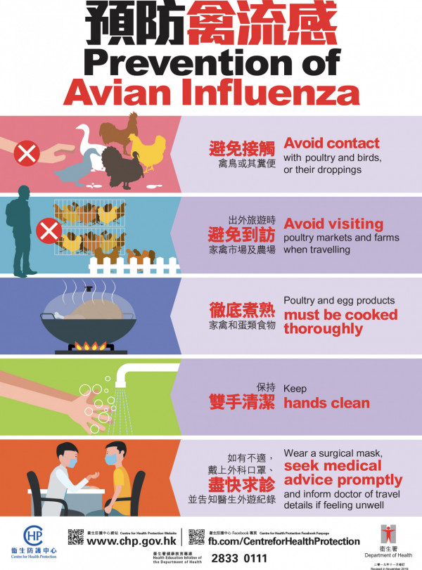 多國爆發高致病性H5N1禽流感 食安中心：暫停進口有關地區禽類產品