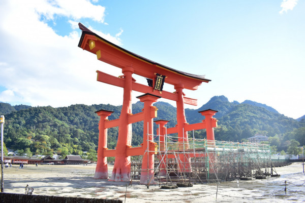 嚴島神社大鳥居11月正式重開  歷時維修3年半 開放全新角度近距離欣賞 