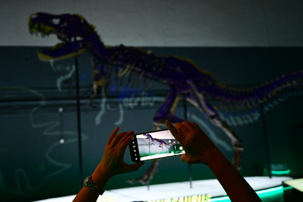 科學館大型恐龍展覽「八大‧尋龍記」展期延至2023年2月！8組完整度極高化石標本/1比1棘龍/哈特茲哥翼龍