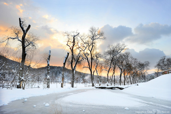 韓國5大冬日滑雪行程推薦 一條龍全包！滑雪度假村+近郊一日遊 
