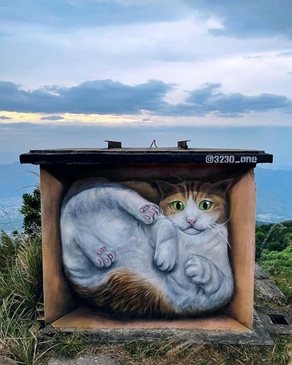 大帽山打卡熱點貓貓壁畫屋突然被封 俄羅斯原作家Vladimir Boldyrev預告新作品將面世！