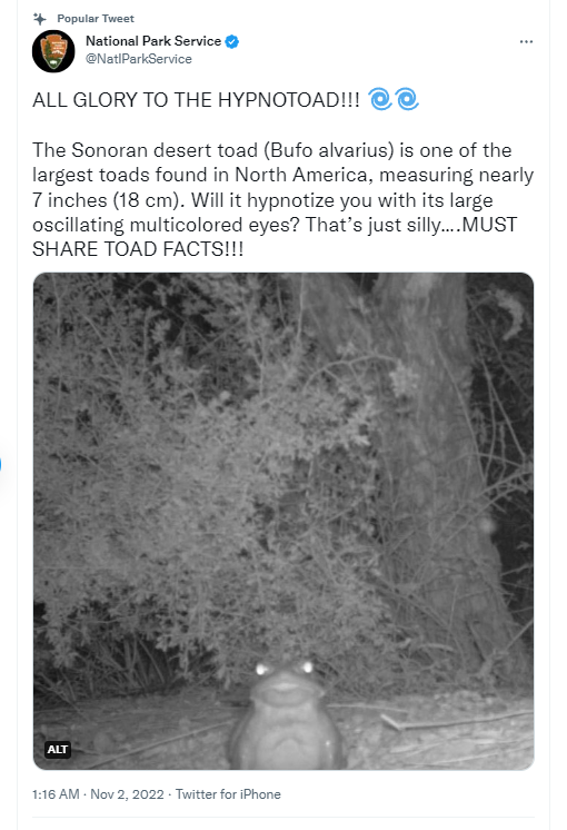 年輕人流行到公園舔蟾蜍 美國國家公園管理局勸喻要克制