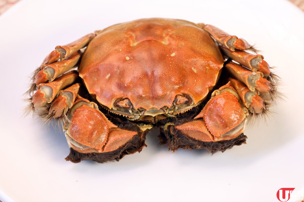 老牌酒家新出 $88 韓式醬油大閘蟹 / 528 元大閘蟹放題