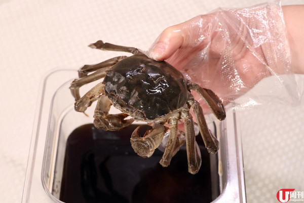 老牌酒家新出 $88 韓式醬油大閘蟹 / 528 元大閘蟹放題