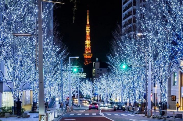 東京自由行2022 | 六本木聖誕燈飾率先亮燈！80萬顆LED燈、鐵塔下絕美銀白林蔭大道 