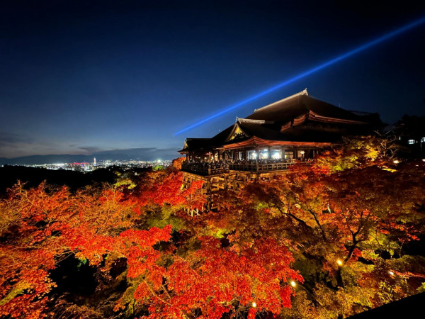 2022日本紅葉 | 京都清水寺夜間特別參拜重開 古蹟下賞絕美夜楓！點燈時間+收費 