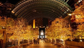 2022東京聖誕燈飾7大亮點  LED寶石隧道/巨型水晶吊燈/青之洞窟 