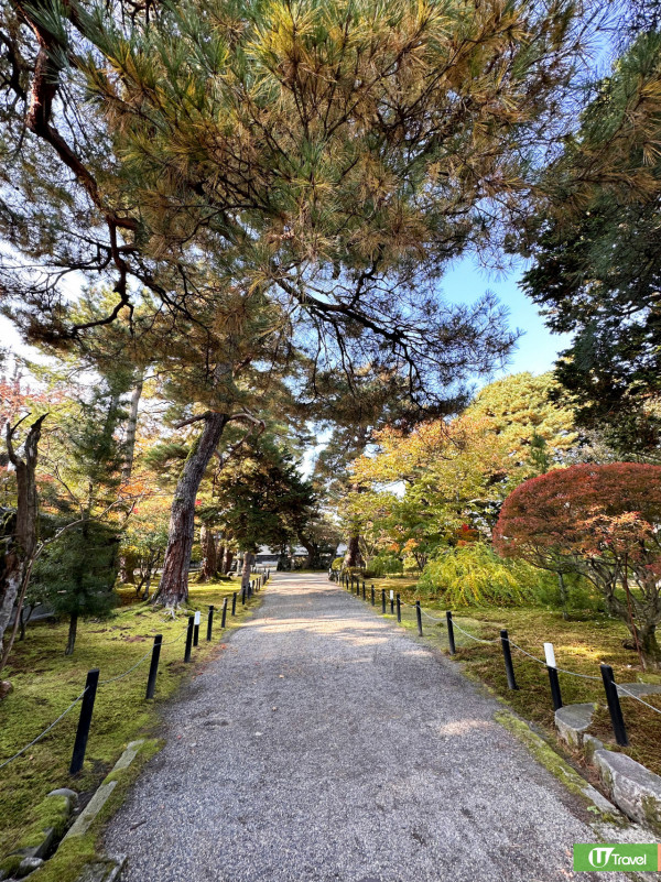 日本自由行2022 | 東京新潟12個絕美景點行程懶人包 紅葉谷/天空之鏡打卡 記者試玩花魁體驗 