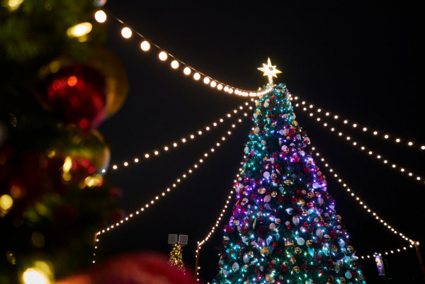 聖誕好去處 2022 | 盤點全港5大巨型聖誕樹打卡點！21米心形聖誕樹/迪士尼夢想成真聖誕樹/夢幻獨角獸聖誕樹