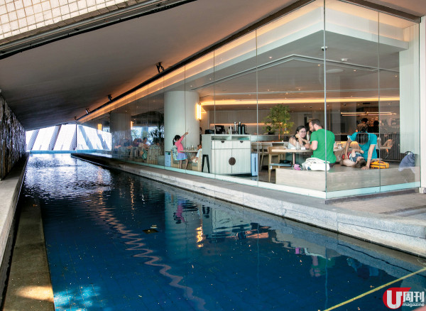 牧羊少年進駐文化中心 6,000 呎空間感十足 / 新增藝術展覽區