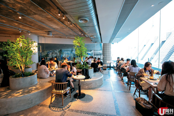 牧羊少年進駐文化中心 6,000 呎空間感十足 / 新增藝術展覽區