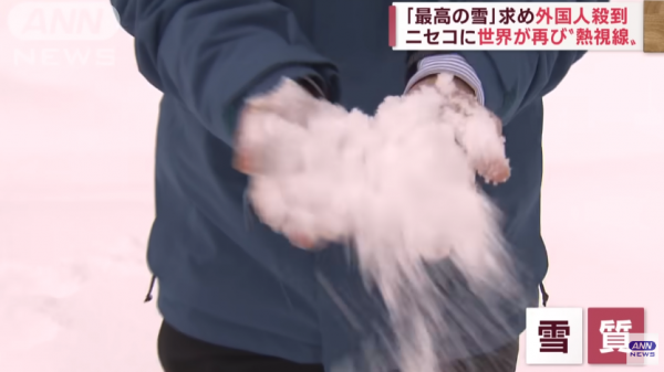 北海道擁全球最佳粉雪「JAPOW」 法國旅客親身揭一招分辨靚雪 