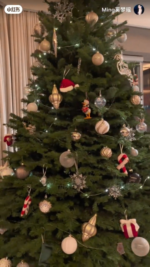 聖誕將至，奚夢瑤近日於小紅書分享了在家中佈置聖誕樹的影片；她在影片中努力地將不同裝飾放到巨大的聖誕樹上，而一對仔女則趴在地上張望，看起來相當可愛。