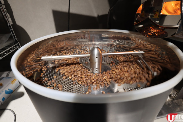 日本進口生豆焙煎專門店 少眾咖啡豆產區 / 稀有麝香貓屎咖啡