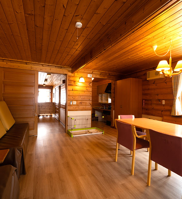 新潟山上溫泉渡假村 房間天窗可以觀星！一泊二食首選 