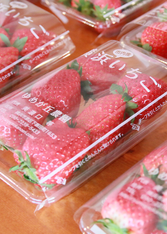 橫濱紅磚倉庫草莓祭典2月舉行 免費品嚐日本士多啤梨+10週年限定菜單 