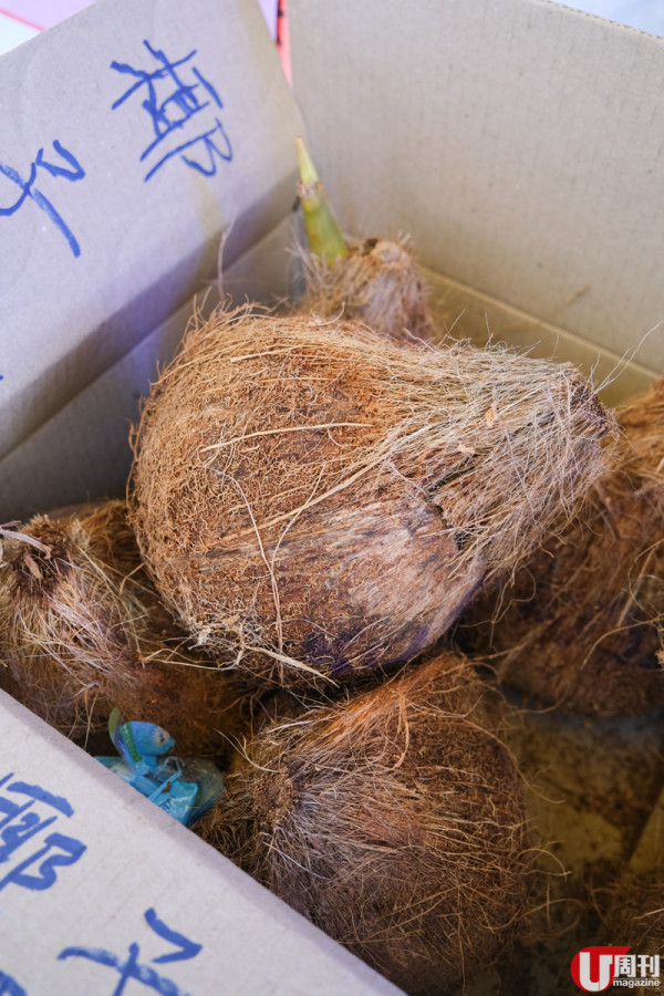 大埔墟有心小店 馬拉大庄椰子鮮榨 / 創意焦糖脆脆椰汁 