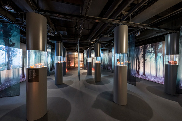 「波羅的海黃金」城大亮相 從琥珀看三千年藝術歷史和文化