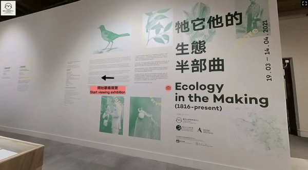 《牠它他的生態半部曲》網上展 看業餘博物學家與香港生態故事