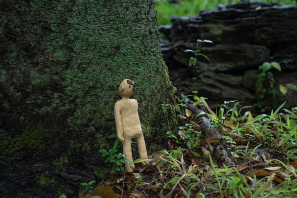 《一樹無聲》重塑塌樹現場 以藝術裝置探索樹木生命之旅