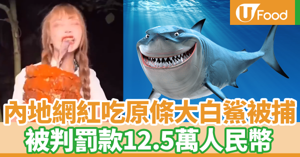 內地吃播網紅吃原條大白鯊被捕　被判罰款12.5萬人民幣