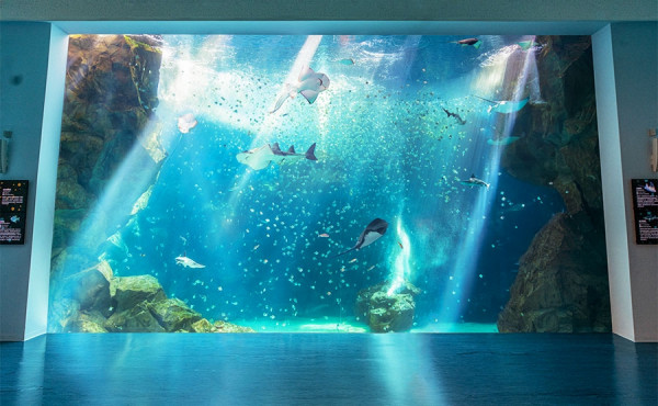 XPark桃園水族館7大亮點 360度沉浸空間！遊歷久石讓海洋音樂世界 