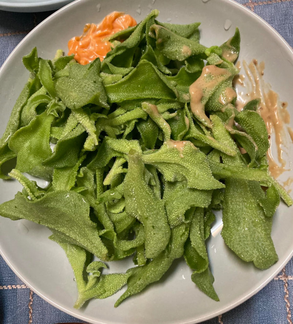 冰菜隱藏超肥美綠色蟲 逐片洗都沒察覺險吃下