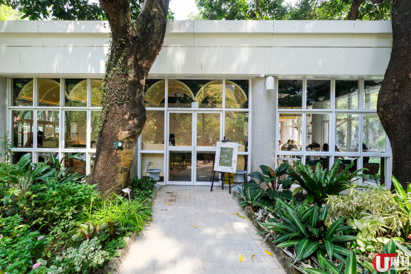 春日好去處 香港公園玻璃屋 CAFE / 瀑布旁位歎下午茶