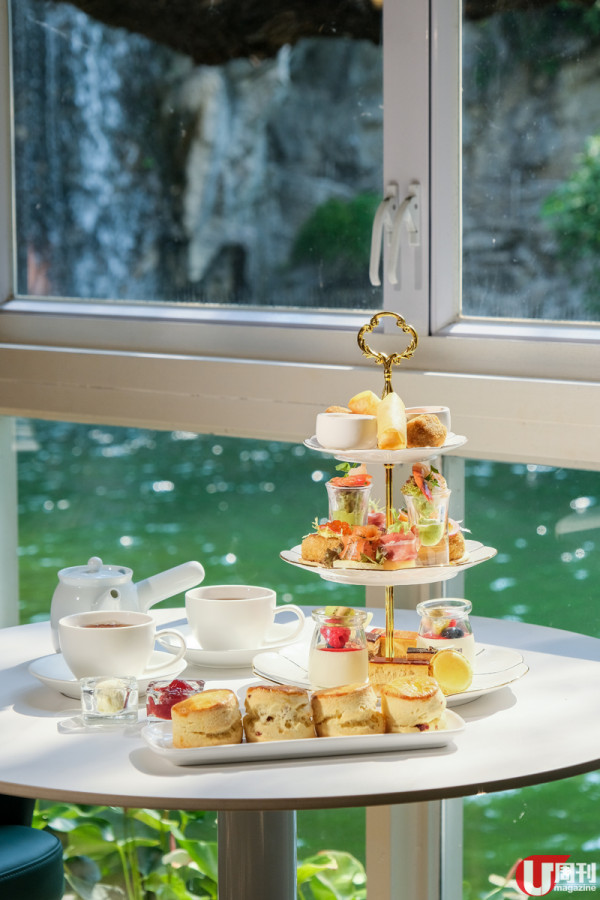 春日好去處 香港公園玻璃屋 CAFE / 瀑布旁位歎下午茶