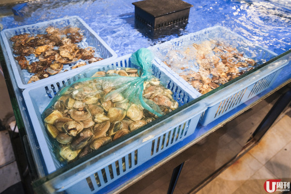 銅鑼灣上樓 BBQ 店 冷氣房海鮮燒烤放題 / 生猛龍蝦鮑魚日本蠔