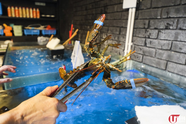 銅鑼灣上樓 BBQ 店 冷氣房海鮮燒烤放題 / 生猛龍蝦鮑魚日本蠔