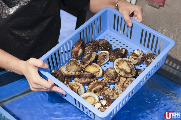 銅鑼灣上樓 BBQ 店 冷氣房海鮮燒烤放題 / 生猛龍蝦鮑魚日本蠔