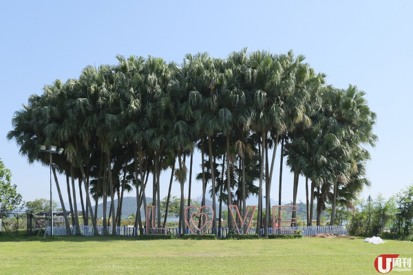 大尾督 40 萬呎大場 一場玩盡 /炭火韓燒‧重慶燒‧港式 BBQ