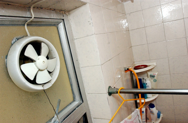 「黑廁」經常有蚊滋出現可以點解決？家務清潔導師：淨係抽濕唔夠，要定期沖洗排水口！