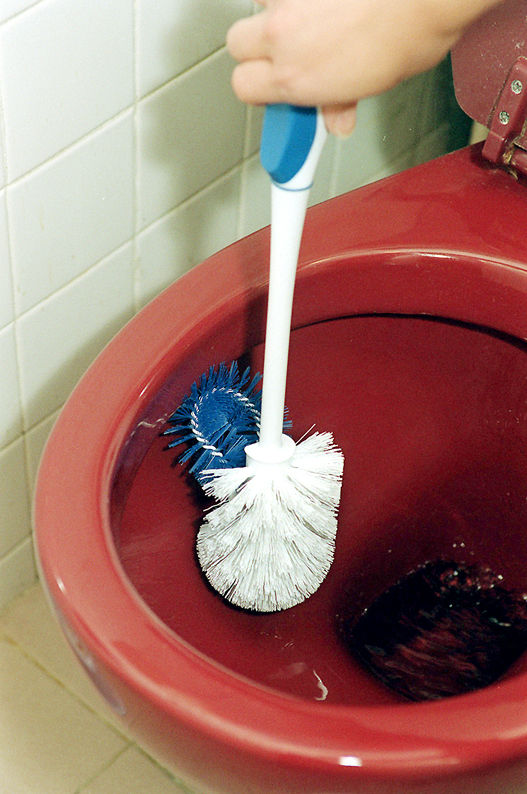 「黑廁」經常有蚊滋出現可以點解決？家務清潔導師：淨係抽濕唔夠，要定期沖洗排水口！