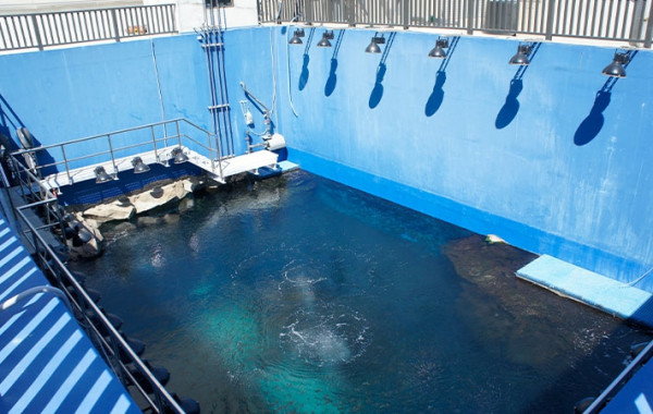 XPark桃園水族館7大亮點 360度沉浸空間！遊歷久石讓海洋音樂世界 