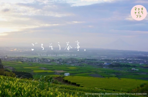 專業日本茶藝師傳授沏茶秘訣 周末體會一期一會茶道精神