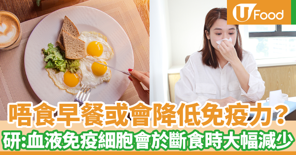不吃早餐或會降低免疫力？　最新研究：循環在體內免疫系統細胞會於斷食時段大幅減少