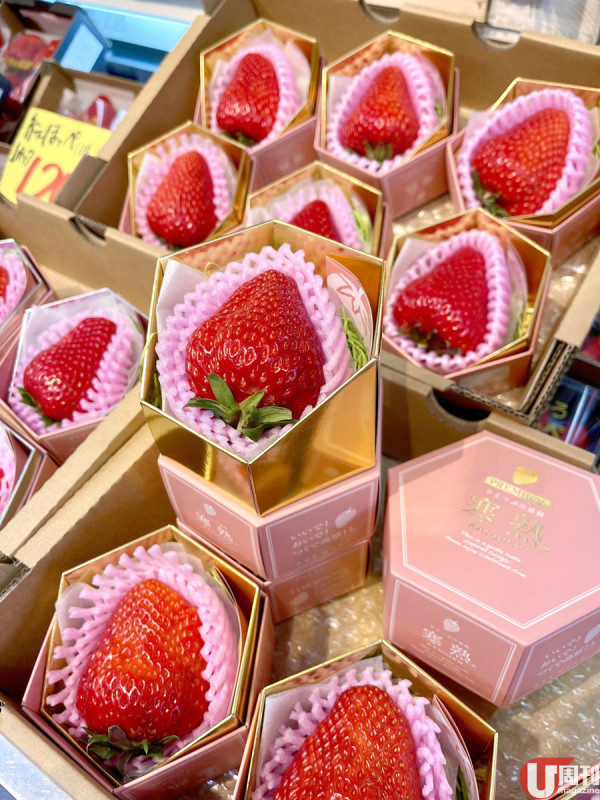 巨型士多啤梨寒熟 / 糖度 20 度 3 月限定！愛知縣農場直送 