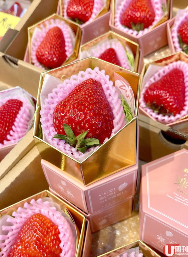 巨型士多啤梨寒熟 / 糖度 20 度 3 月限定！愛知縣農場直送 