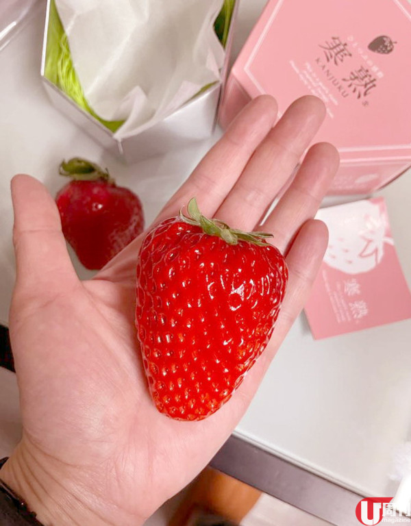 巨型士多啤梨寒熟 / 糖度 20 度 3 月限定！愛知縣農場直送 